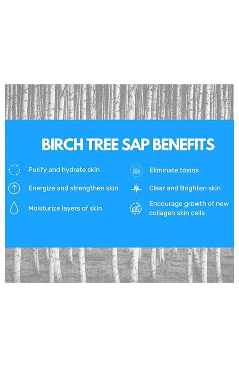 Round Lab Birch Juice Moisturizing Toner 300ml - Palace Buy