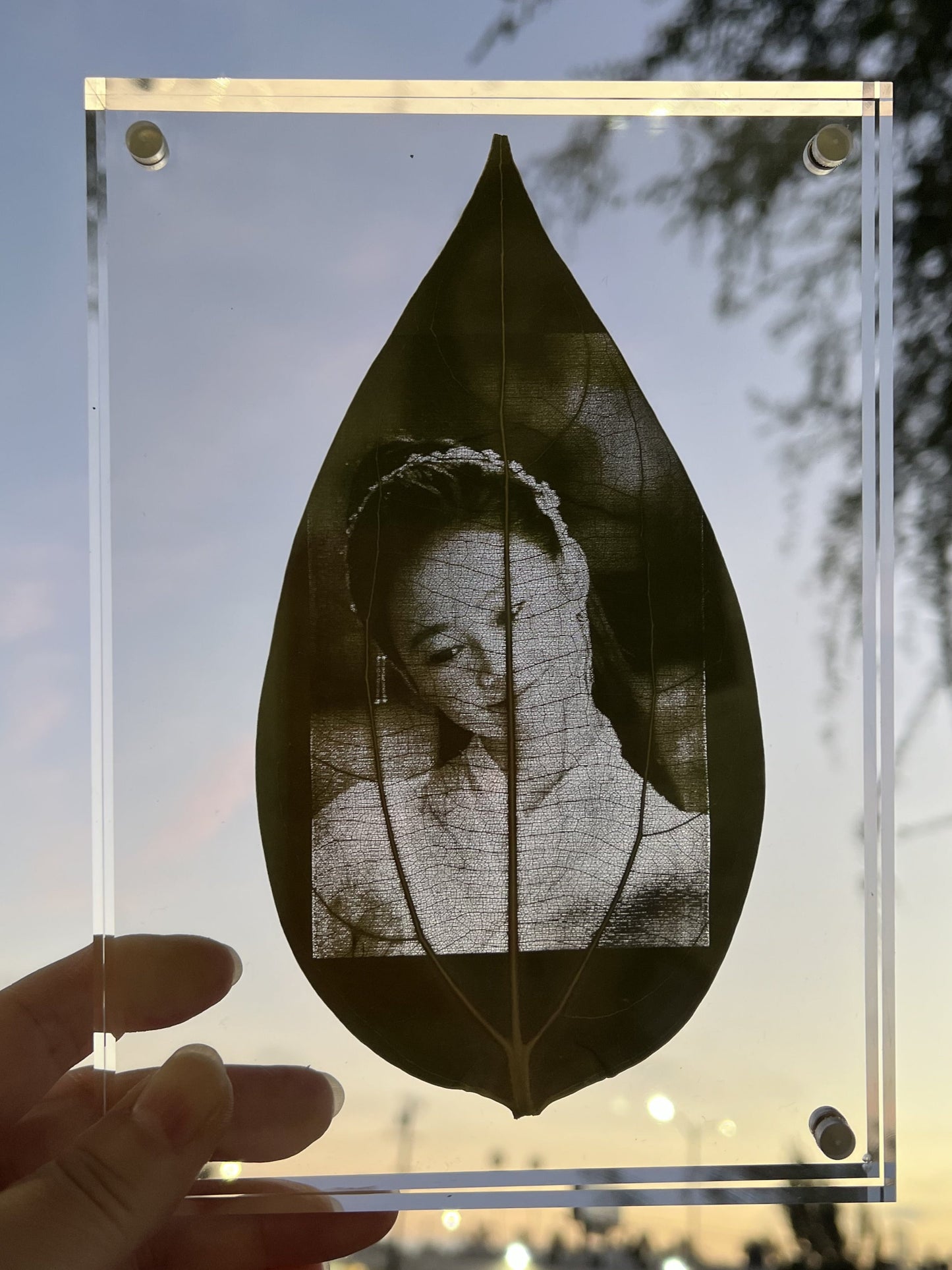 Custom Engraved Photo On Real Leaf