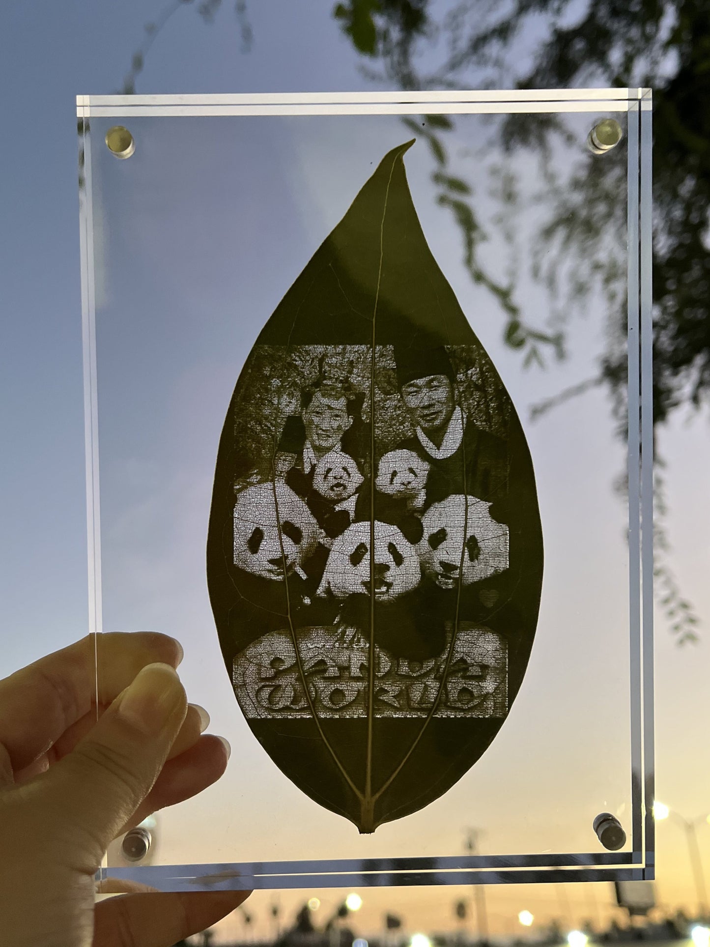 Custom Engraved Photo On Real Leaf