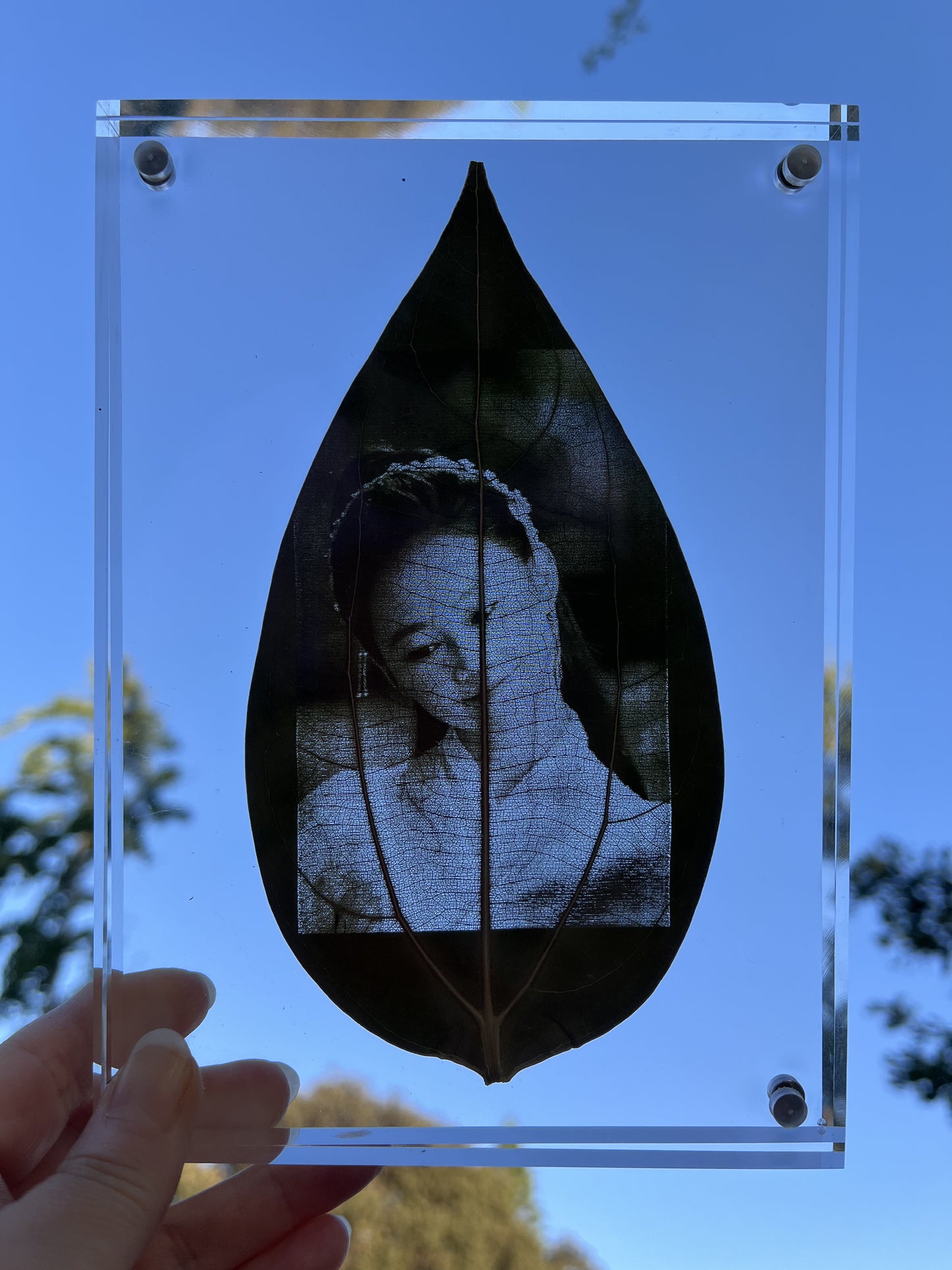 Custom Engraved Photo On Real Leaf