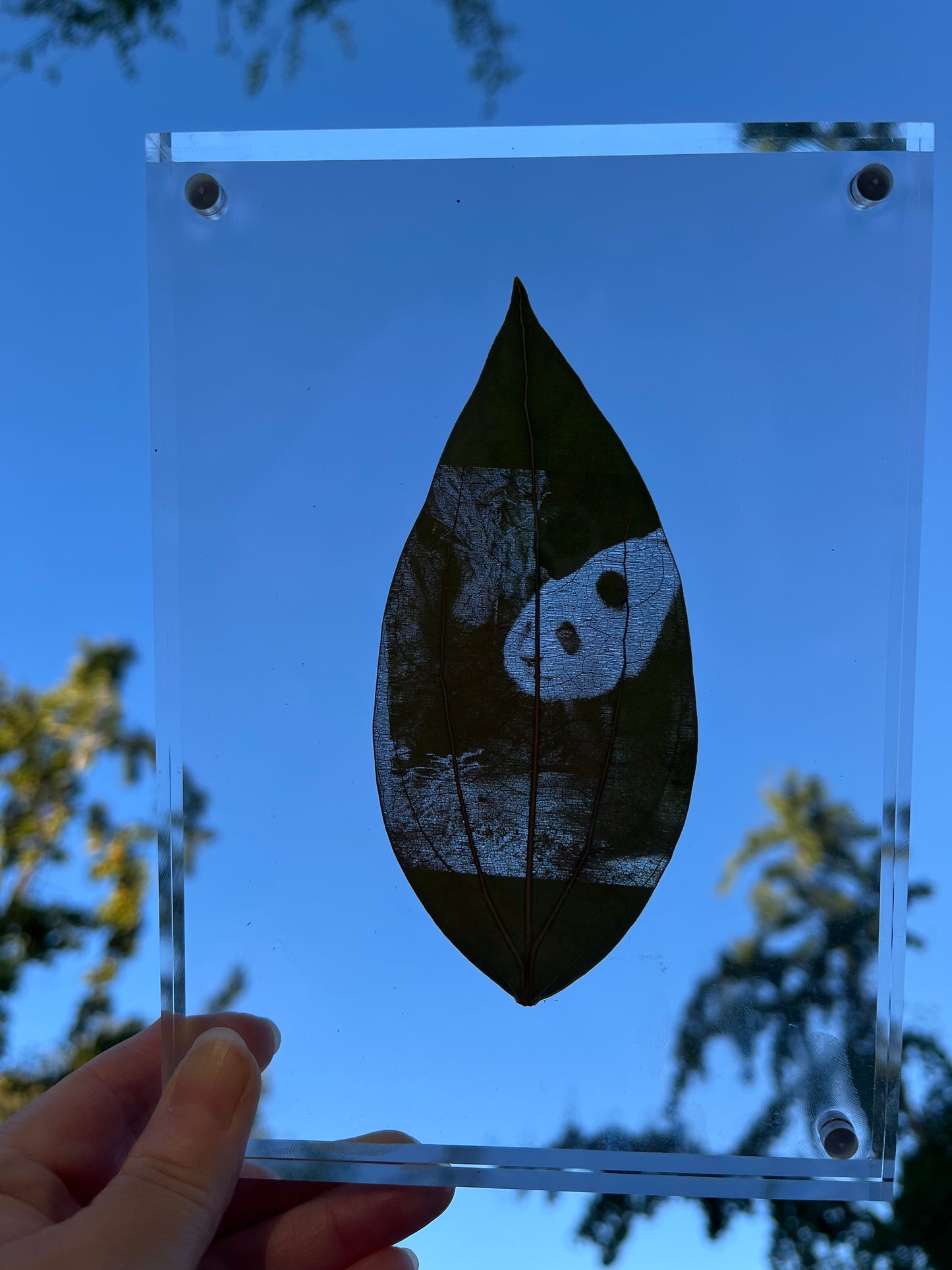 Custom Engraved Photo On Real Leaf