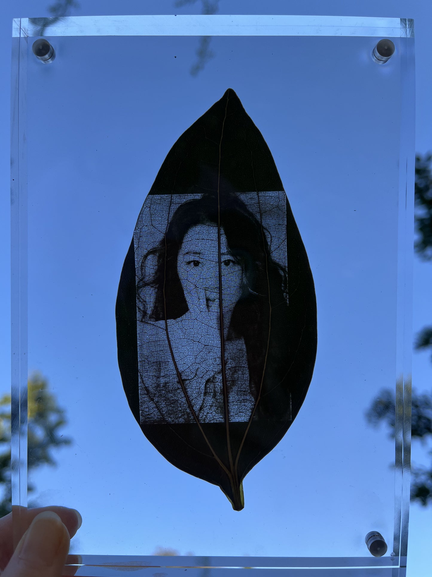 Custom Engraved Photo On Real Leaf