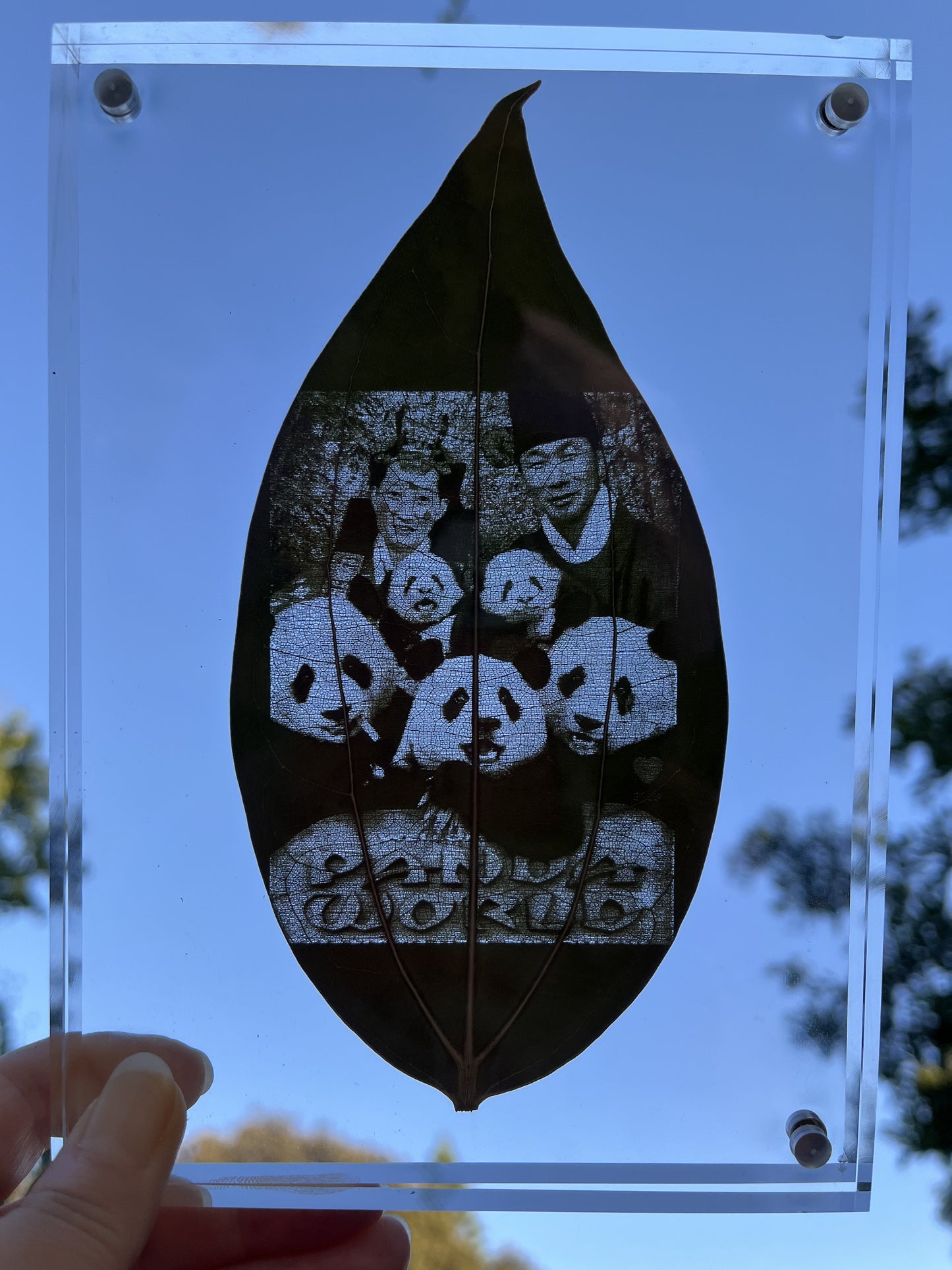 Custom Engraved Photo On Real Leaf