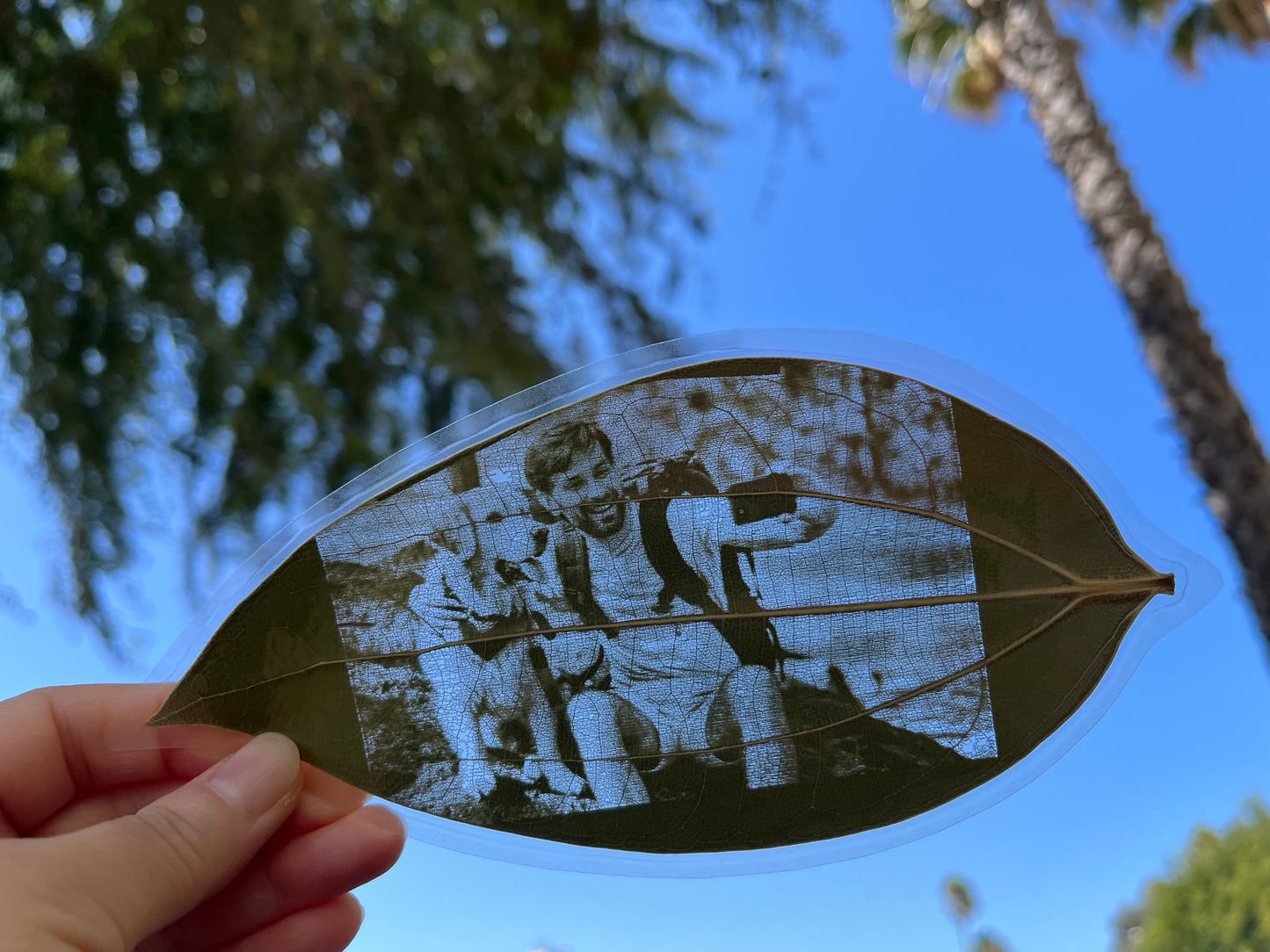 Bookmarks Of Custom Engraved Photo On Real Leaf