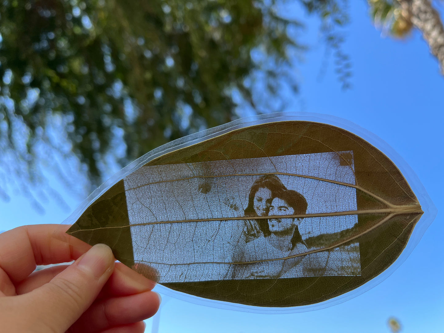 Bookmarks Of Custom Engraved Photo On Real Leaf