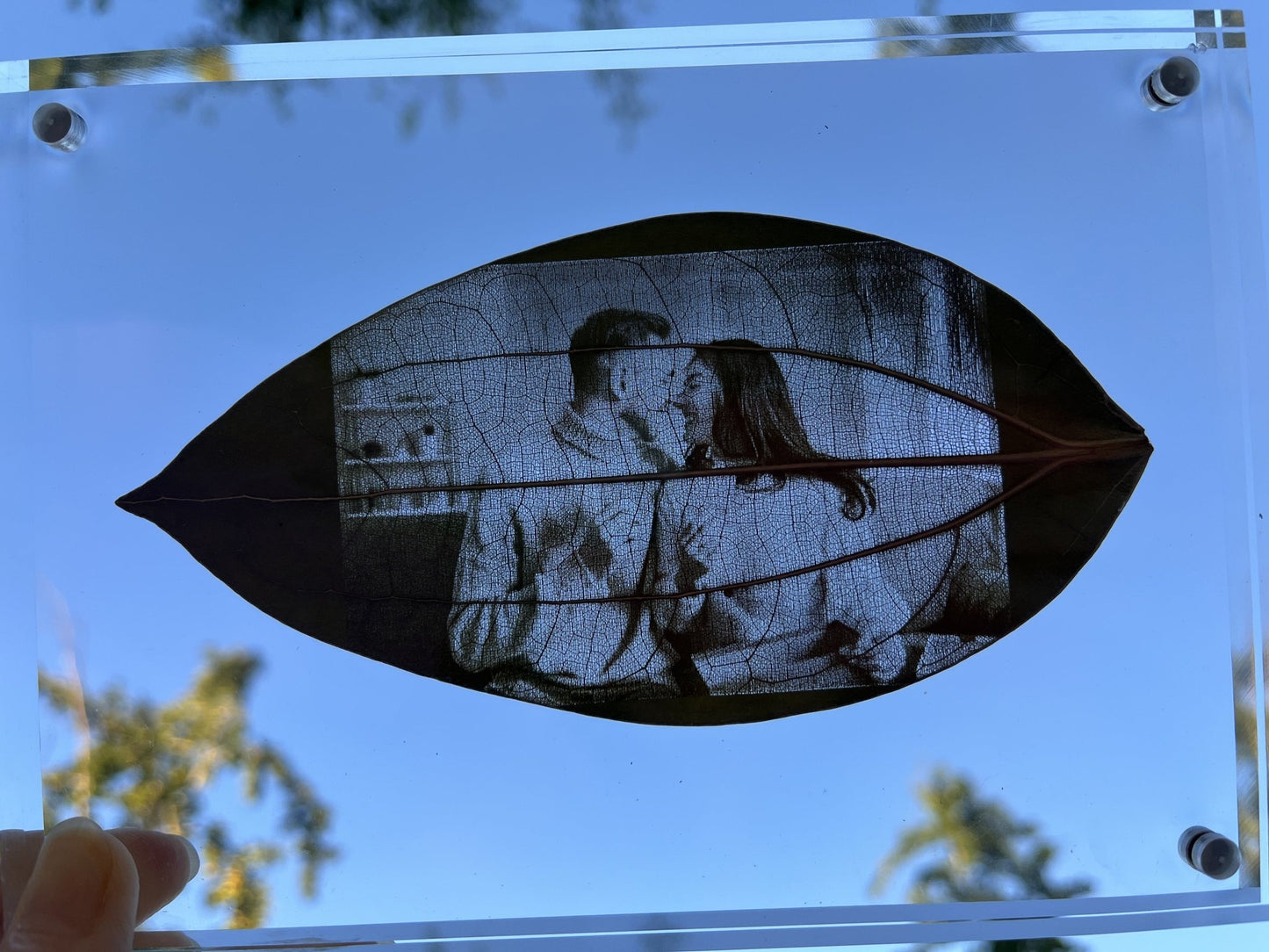 Custom Engraved Photo On Real Leaf - Palace Buy