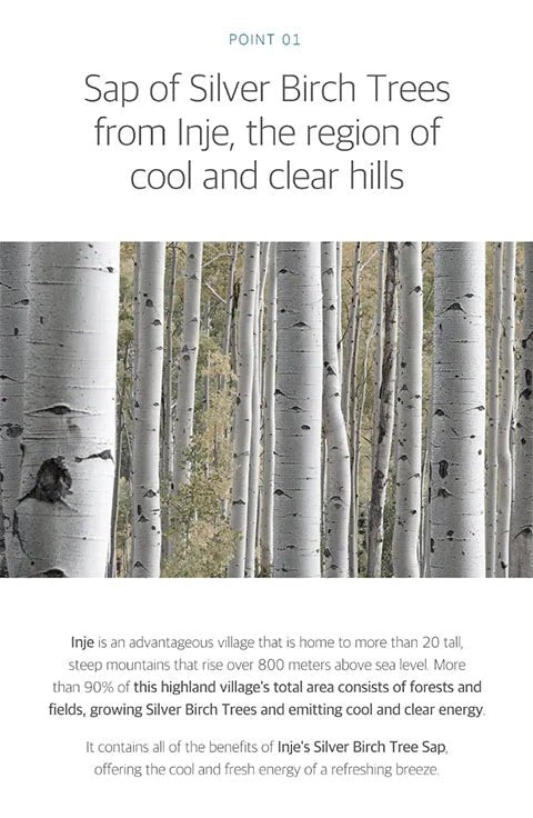 Round Lab Birch Moisturizing Pad 80 Pads - Palace Buy